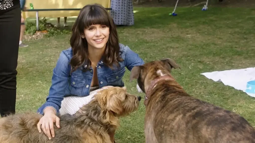 Como Ken Marino transformou seu amor por pets no filme Nossa Vida com Cães